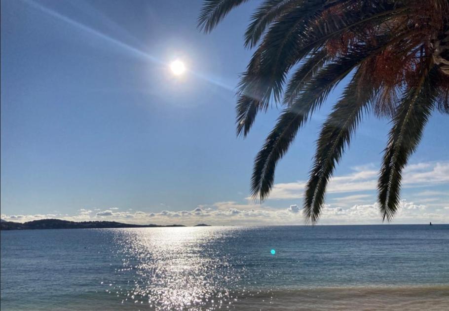 L Annexe 50M De La Plage Bandol Exteriér fotografie